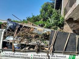 Best Furniture Removal  in Townsend, DE